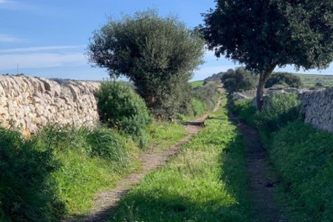 Landejendom i Comiso, Ragusa, Comiso - € 490.000 | Ref: Z 60 - foto 39