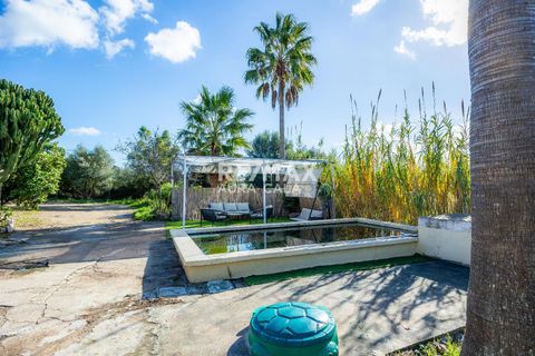 Villa a Arta, Mallorca, Arta - € 585.000 | Ref: 2271 - foto 13