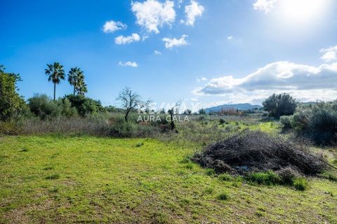 Villa a Arta, Mallorca, Arta - € 585.000 | Ref: 2271 - foto 21