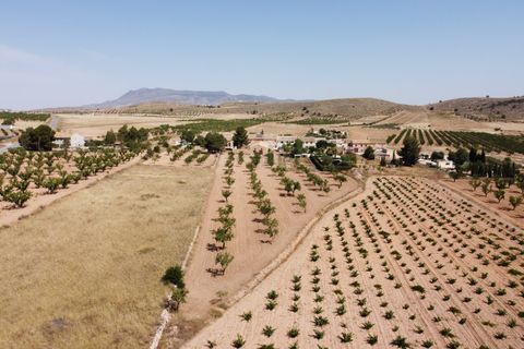 Helårsgrund i Abanilla, Murcia, Abanilla - € 49.000 | Ref: CF3231 - foto 3