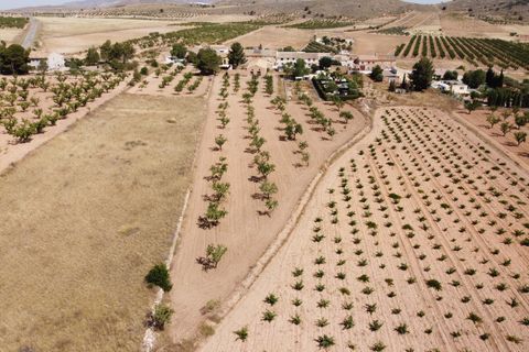 Helårsgrund i Abanilla, Murcia, Abanilla - € 49.000 | Ref: CF3231 - foto 4