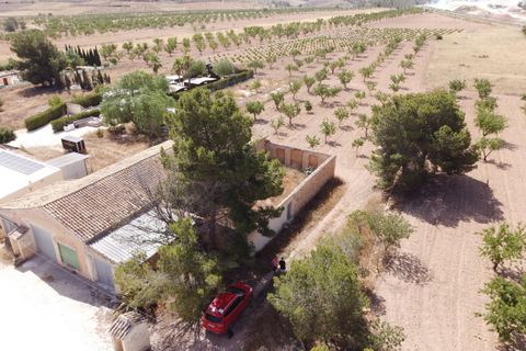 Helårsgrund i Abanilla, Murcia, Abanilla - € 49.000 | Ref: CF3231 - foto 7