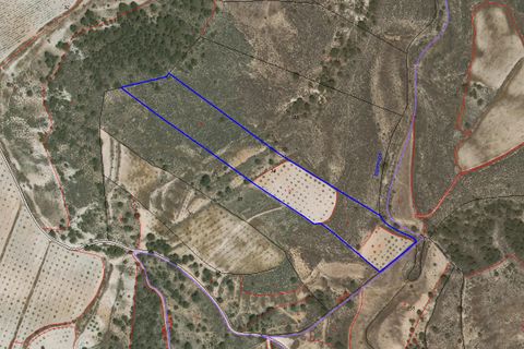 Helårsgrund i Jumilla, Murcia, Jumilla - € 45.000 | Ref: CF3216 - foto 1