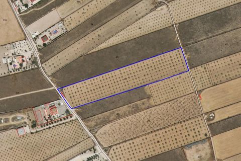 Helårsgrund i Canada Del Trigo, Alicante, Canada Del Trigo - € 36.000 | Ref: CF3212 - foto 1