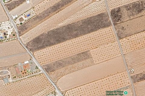 Helårsgrund i Canada Del Trigo, Alicante, Canada Del Trigo - € 36.000 | Ref: CF3212 - foto 2