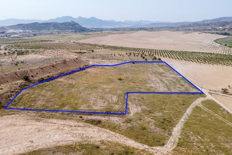 Helårsgrund i Jumilla, Murcia, Jumilla - € 42.500 | Ref: CF3197 - foto 1