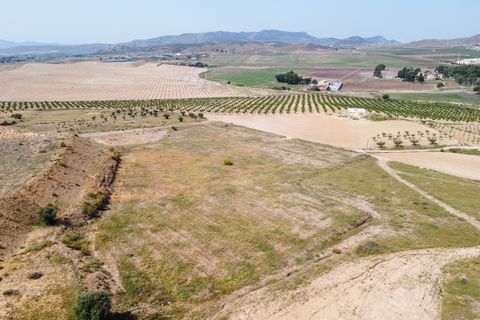 Helårsgrund i Jumilla, Murcia, Jumilla - € 42.500 | Ref: CF3197 - foto 3