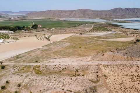 Helårsgrund i Jumilla, Murcia, Jumilla - € 42.500 | Ref: CF3197 - foto 4