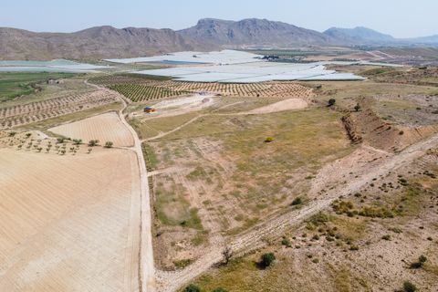 Helårsgrund i Jumilla, Murcia, Jumilla - € 42.500 | Ref: CF3197 - foto 5