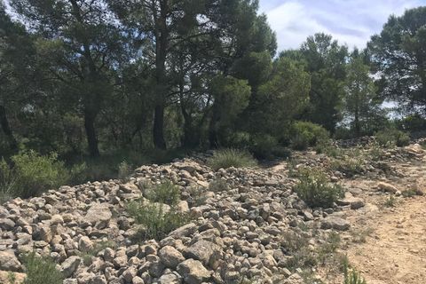 Helårsgrund i Monovar, Alicante, Monovar - € 47.000 | Ref: CF3191 - foto 2