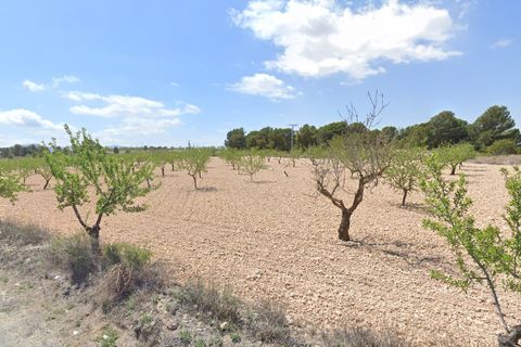 Helårsgrund i Monovar, Alicante, Monovar - € 35.000 | Ref: CF3190 - foto 2