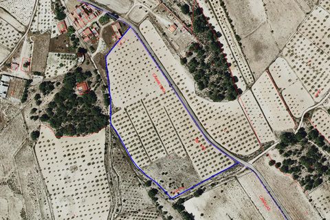 Helårsgrund i Monovar, Alicante, Monovar - € 35.000 | Ref: CF3190 - foto 3