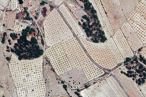 Helårsgrund i Monovar, Alicante, Monovar - € 35.000 | Ref: CF3190 - foto 4