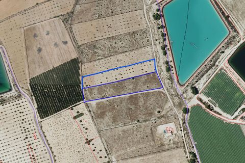 Helårsgrund i Monovar, Alicante, Monovar - € 36.000 | Ref: CF3187 - foto 2