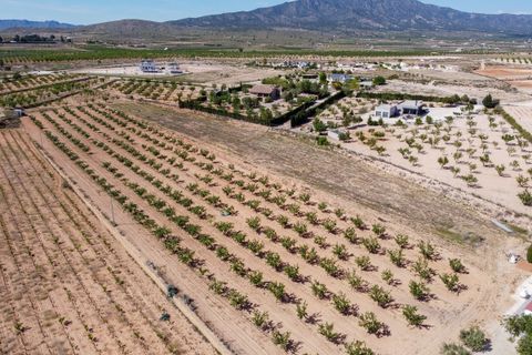 Helårsgrund i Pinoso, Alicante, Pinoso - € 65.000 | Ref: CF3176 - foto 1