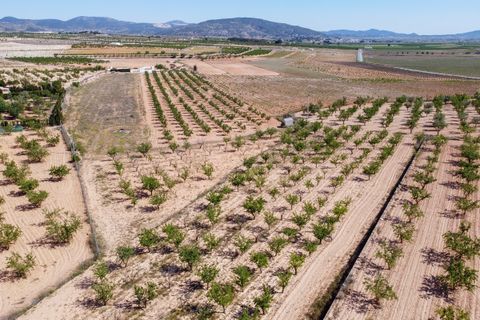 Helårsgrund i Pinoso, Alicante, Pinoso - € 65.000 | Ref: CF3176 - foto 2