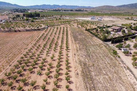 Helårsgrund i Pinoso, Alicante, Pinoso - € 65.000 | Ref: CF3176 - foto 3