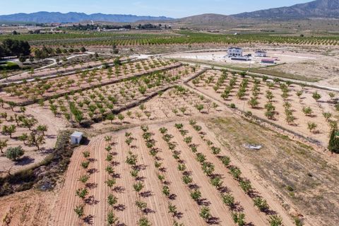 Helårsgrund i Pinoso, Alicante, Pinoso - € 65.000 | Ref: CF3176 - foto 4