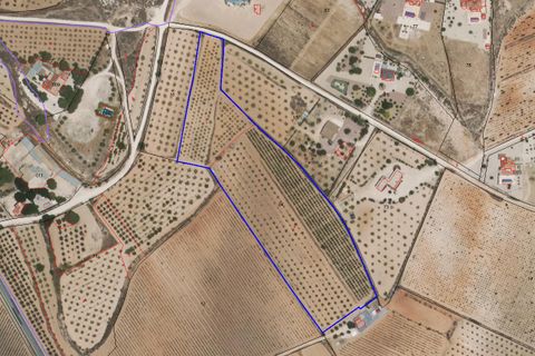 Helårsgrund i Pinoso, Alicante, Pinoso - € 65.000 | Ref: CF3176 - foto 5