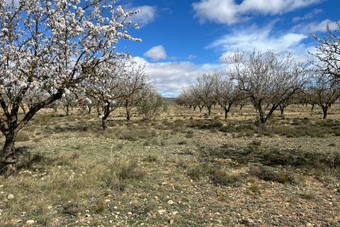 Helårsgrund i Yecla, Murcia, Yecla - € 50.000 | Ref: CF3148 - foto 1
