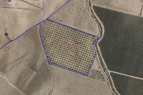 Helårsgrund i Yecla, Murcia, Yecla - € 50.000 | Ref: CF3148 - foto 2