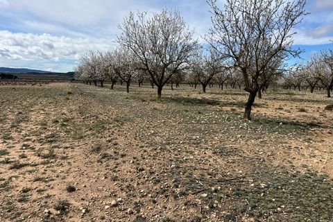 Helårsgrund i Yecla, Murcia, Yecla - € 50.000 | Ref: CF3148 - foto 4