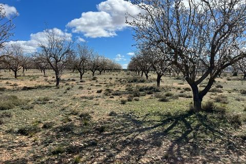 Helårsgrund i Yecla, Murcia, Yecla - € 50.000 | Ref: CF3148 - foto 7