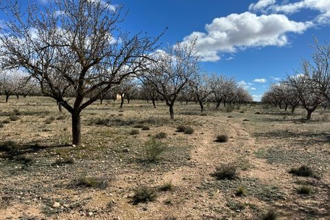 Helårsgrund i Yecla, Murcia, Yecla - € 50.000 | Ref: CF3148 - foto 10