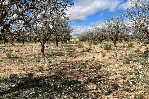 Helårsgrund i Yecla, Murcia, Yecla - € 50.000 | Ref: CF3148 - foto 11
