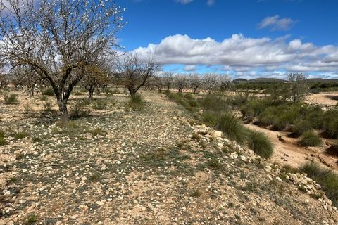 Helårsgrund i Yecla, Murcia, Yecla - € 50.000 | Ref: CF3148 - foto 12