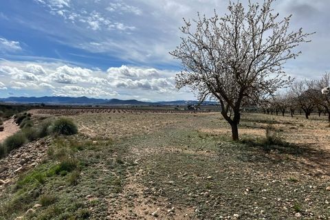 Helårsgrund i Yecla, Murcia, Yecla - € 50.000 | Ref: CF3148 - foto 13