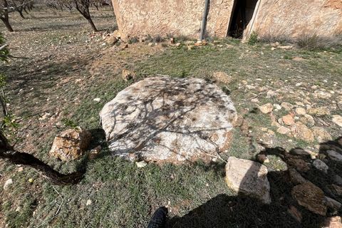 Helårsgrund i Yecla, Murcia, Yecla - € 50.000 | Ref: CF3148 - foto 14