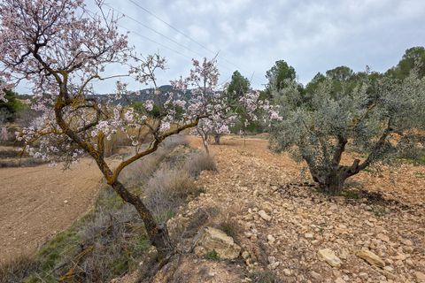 Terra a La Zarza, Murcia, La Zarza - € 49.950 | Ref: CF3146 - foto 2