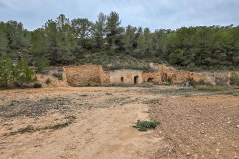 Terra a La Zarza, Murcia, La Zarza - € 49.950 | Ref: CF3146 - foto 3