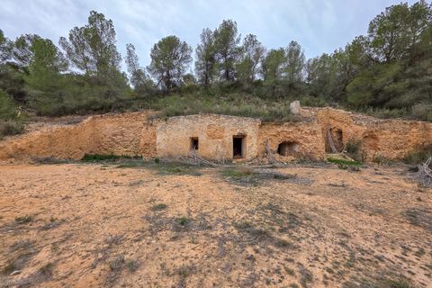 Terra a La Zarza, Murcia, La Zarza - € 49.950 | Ref: CF3146 - foto 4