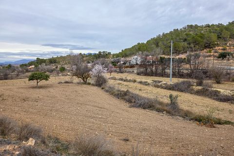 Terra a La Zarza, Murcia, La Zarza - € 49.950 | Ref: CF3146 - foto 6
