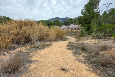 Terra a La Zarza, Murcia, La Zarza - € 49.950 | Ref: CF3146 - foto 7
