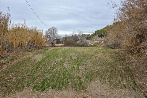 Terra a La Zarza, Murcia, La Zarza - € 49.950 | Ref: CF3146 - foto 8