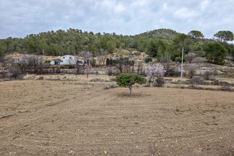 Terra a La Zarza, Murcia, La Zarza - € 49.950 | Ref: CF3146 - foto 9