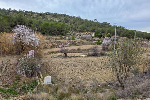 Terra a La Zarza, Murcia, La Zarza - € 49.950 | Ref: CF3146 - foto 10