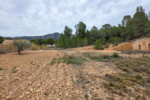 Terra a La Zarza, Murcia, La Zarza - € 49.950 | Ref: CF3146 - foto 13