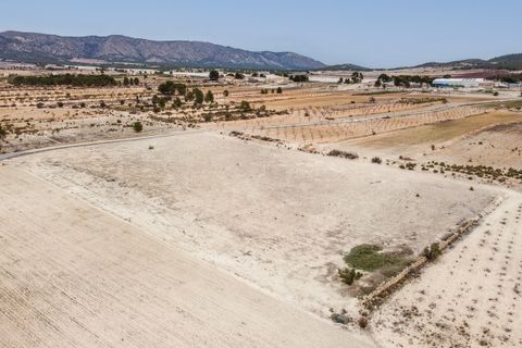 Helårsgrund i Monovar, Alicante, Monovar - € 29.995 | Ref: CF3142 - foto 7
