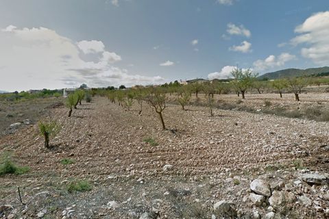 Terra a Raspay, Murcia, Raspay - € 26.000 | Ref: CF2904 - foto 2