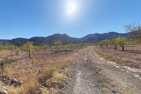 Helårsgrund i Yecla, Murcia, Yecla - € 56.000 | Ref: CF2760 - foto 2