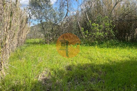 Helårsgrund i Castro Marim, Faro, Castro Marim - € 46.900 | Ref: SU-CS-TR-91479 - foto 17