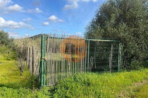 Helårsgrund i Castro Marim, Faro, Castro Marim - € 46.900 | Ref: SU-CS-TR-91479 - foto 23