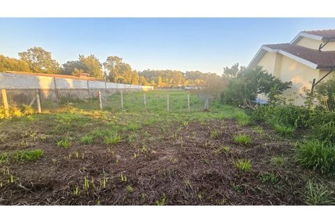 Terra a Grijo, Porto, Grijo - € 110.000 | Ref: TER_68.Mi.002 - foto 3