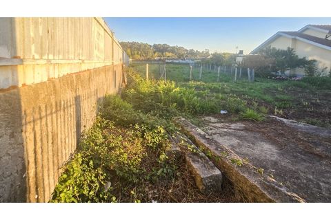 Terra a Grijo, Porto, Grijo - € 110.000 | Ref: TER_68.Mi.002 - foto 4
