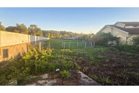 Terra a Grijo, Porto, Grijo - € 110.000 | Ref: TER_68.Mi.002 - foto 6