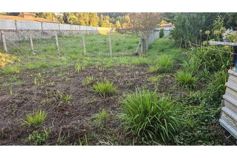 Terra a Grijo, Porto, Grijo - € 110.000 | Ref: TER_68.Mi.002 - foto 7